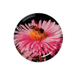 Apiculture. net - mat�riel apicole fran�ais 1400 couvercles twist off fleur / abeille to 63