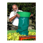 Le kangourou panier � manche 15l