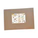 La ruche des abeilles� kit de 5 posters p�dagogiques