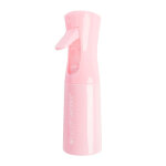 Brushworks vaporisateur cheveux