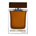 Dolce&gabbana the one pour homme