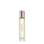 Est�e lauder bronze goddess