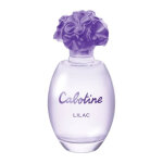 Gr�s cabotine lilac