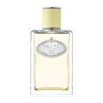 Prada infusion de gingembre
