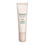 Shiseido essence yeux nergisante