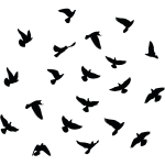 Ambiance - sticker 20 stickers oiseaux anti - collision
