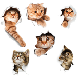 Ambiance - sticker 6 stickers trompe l'oeil chat