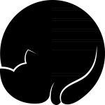 Ambiance - sticker sticker ardoise chat