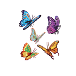 Ambiance - sticker sticker auto papillons color�s