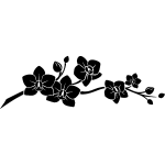 Ambiance - sticker sticker belles orchid�es