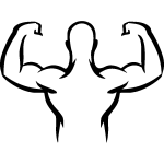 Ambiance - sticker sticker bodybuilder vu de dos