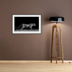 Ambiance - sticker sticker cadre photo le gupard dans la nuit