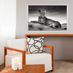 Ambiance - sticker sticker cadre photo la lionne