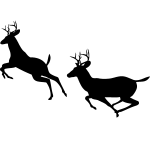Ambiance - sticker sticker cerfs au galop