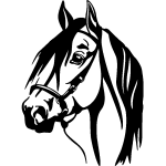 Ambiance - sticker sticker cheval realiste