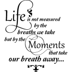 Ambiance - sticker sticker citation life is not measured design