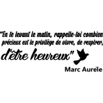 Ambiance - sticker sticker citation rappelle - toi le privil�ge de vivre - marc aur�le