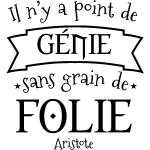 Ambiance - sticker sticker citation sans grain de folie - aristote