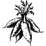 Ambiance - sticker sticker d�co carottes