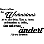 Ambiance - sticker sticker die reinste form des wahnsinns . . . (albert einstein)