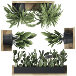 Ambiance - sticker stickers effet 3d plantes d'intrieur sur tagres