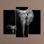Ambiance - sticker sticker �l�phant et son b�b�
