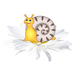 Ambiance - sticker sticker escargot sur une fleur