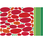 Ambiance - sticker stickers fleurs champs de coquelicots