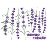 Ambiance - sticker sticker fleurs lavandes