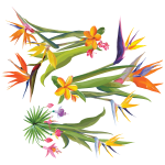 Ambiance - sticker sticker fleurs tropicales trois bouquets des oiseaux de paradis