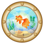 Ambiance - sticker sticker hublot goldfish