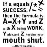 Ambiance - sticker sticker if a equals success - a. einstein