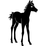 Ambiance - sticker sticker jeune poulain