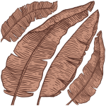 Ambiance - sticker stickers nature feuilles d'automne