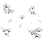 Ambiance - sticker stickers nature ginkgo