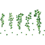 Ambiance - sticker stickers nature lierres suspendus