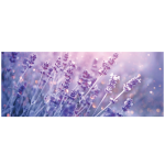 Ambiance - sticker sticker occultant et privatif pour fen�tre 1 m�tre x 40 cm champ de lavande