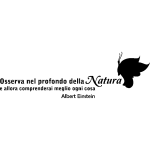 Ambiance - sticker sticker osserva nel profondo della natura - albert einstein