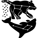 Ambiance - sticker sticker ours et dauphin