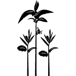 Ambiance - sticker sticker plantes hautes tropicale