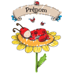 Ambiance - sticker sticker pr�nom personnalisable b�b� coccinelle