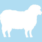 Ambiance - sticker tableau blanc mouton