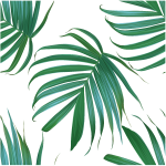 Ambiance - sticker sticker tapisserie tropicale feuilles de palmiers