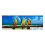 Ambiance - sticker sticker t�te de lit perroquets sur une branche d'arbre