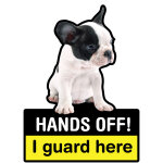 Ambiance - sticker sticker pour valise, petit chien