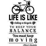 Nc sticker life is like riding a bicycle ? albert einstein