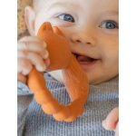 Anneau de dentition - fox