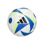 Ballon de foot (taille 5) super cup pro blanc / bleu