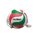 Ballon de volley - ball (taille 5) multicolore Ballon de volley - ball (taille 5) multicolore