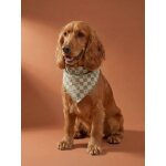 Bandana chien coton blanc imprim�